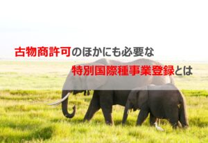 象牙を取り扱うには特別国際種事業登録が必要